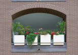 20110708_181839 Loggia fiorita.jpg